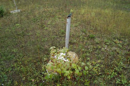 Hiawatha Drive-In Theatre - Speaker Pole